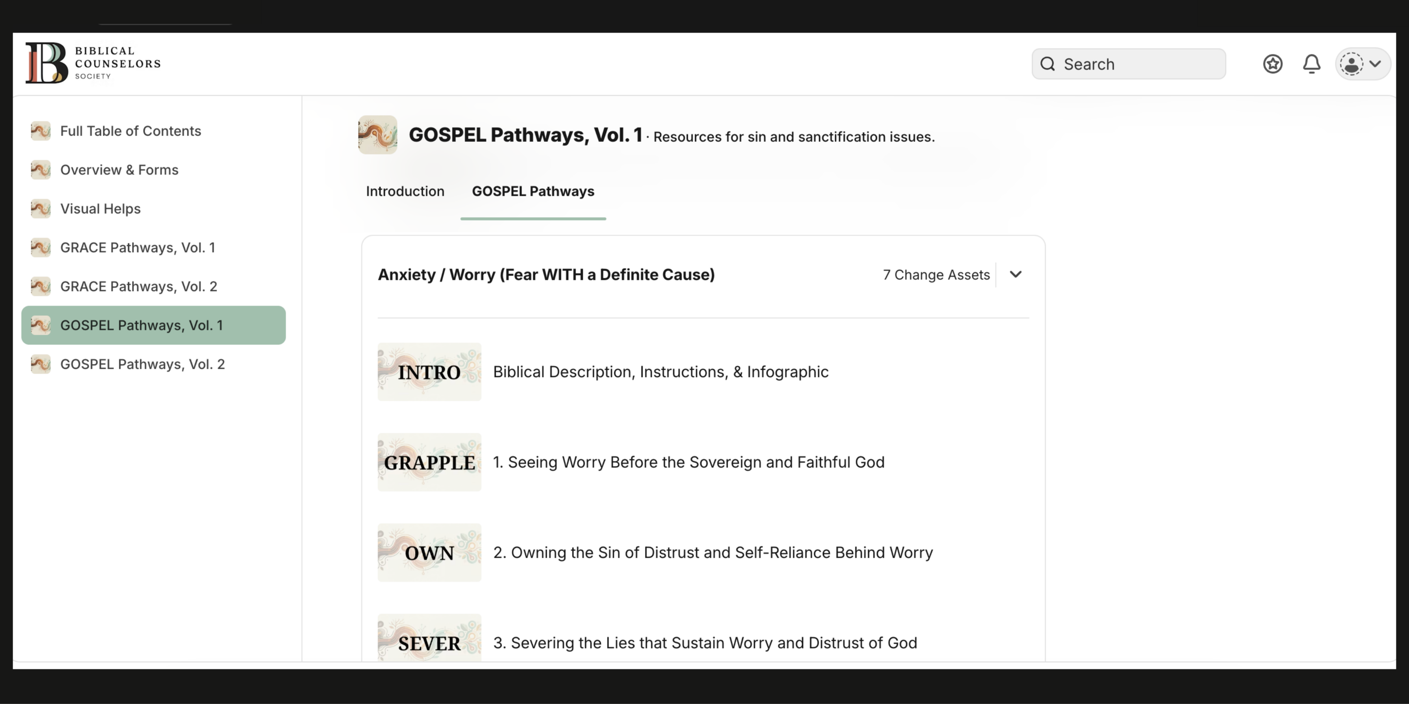 Change Pathways platform showing all phases of a GOSPEL pathway organized by life issue with targeted tools for each phase